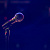 preview-image