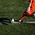preview-image