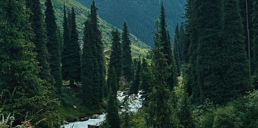Unique stays in Kyrgyzstan: from mountain cottages to glamping in nature