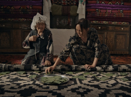 fil-m-kara-kyzyl-sary-zayavlen-na-premiyu-oskar