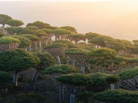 8-mest-v-mire-kotorye-otkryvayut-nashu-planetu-s-drugoy-storony