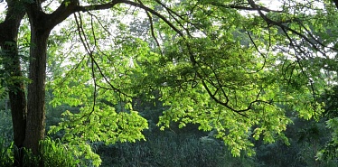 Гид по лучшим базам отдыха в Кызылорде: куда поехать в выходные