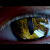 preview-image