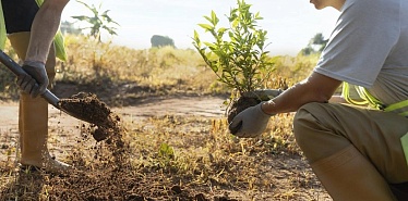 Major companies in Uzbekistan involved in key eco-projects