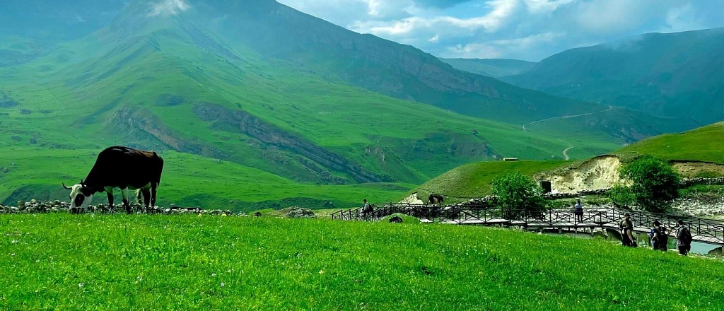 what-to-see-on-a-summer-vacation-in-azerbaijan