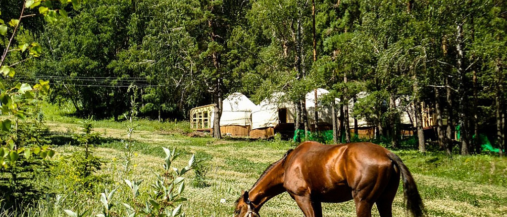 9-places-in-kazakhstan-where-it-is-possible-to-live-in-yurt-and-to-become-familiar-with-the-history-of-the-country