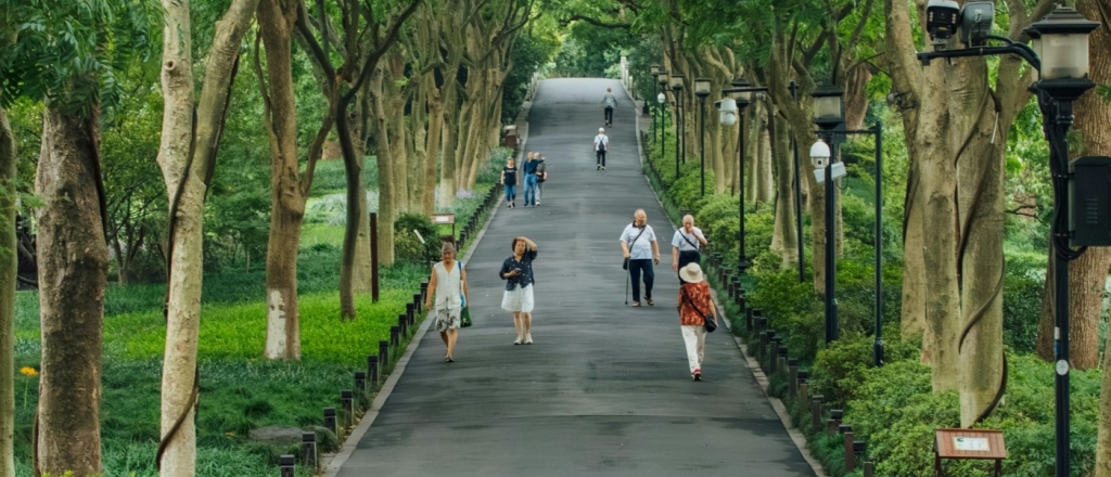 v-gorode-osh-poyavitsya-novaya-zona-otdyha