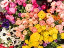 gde-nayti-ideal-nyy-buket-v-aktobe-10-luchshih-cvetochnyh-magazinov