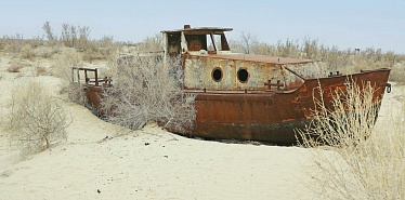 Эко-инициативы по Аральскому морю: что делается и кто за этим стоит