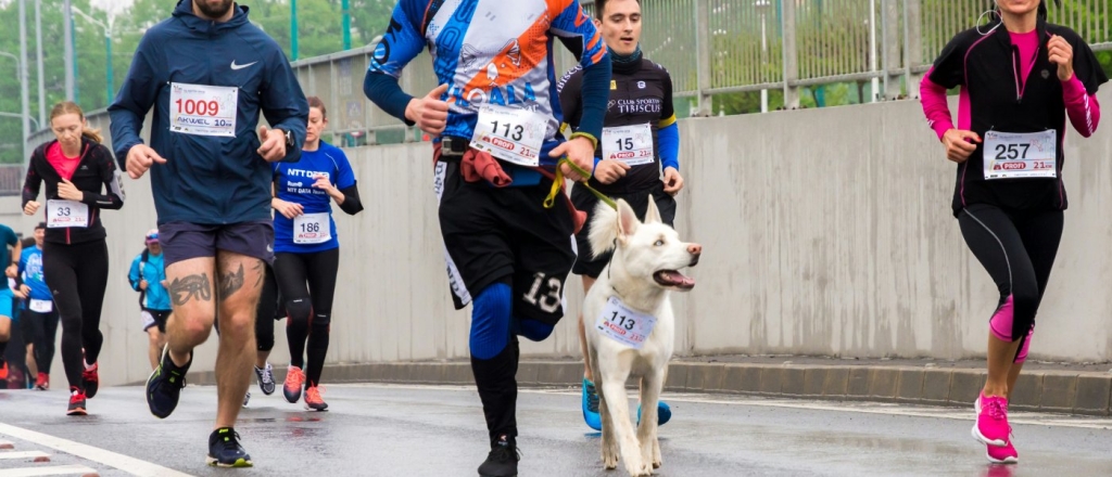 12 лучших беговых сообществ и клубов в Казахстане: от Алматы до Шымкента 12-luchshih-begovyh-soobschestv-i-klubov-v-kazahstane-ot-almaty-do-shymkenta