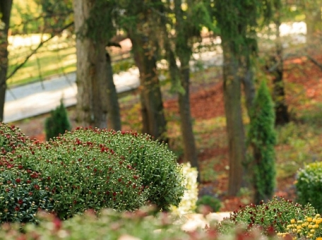 spring-in-dushanbe-where-to-go-and-what-to-do-in-april