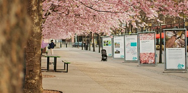 Nauryz in Kazakhstan: traditions, rituals, festive food, and entertainment