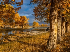 where-to-stroll-in-almaty-10-urban-parks-loved-by-locals