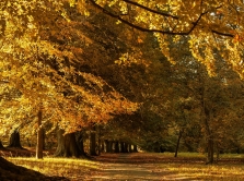 10-parks-in-baku-where-to-walk-outdoors-and-enjoy-the-city-views