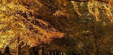 10 parks in Baku: where to walk outdoors and enjoy the city views
