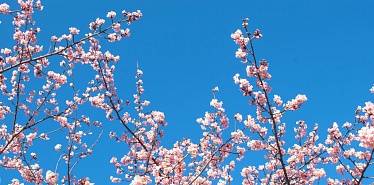 Navruz in Uzbekistan: spring awakening and cultural heritage