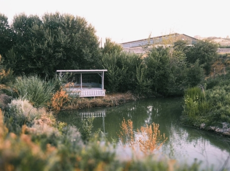 zhivotnye-gastronomiya-i-ekologiya-kak-proekt-kosa-stroit-novuyu-kul-turu-otdyha-v-uzbekistane