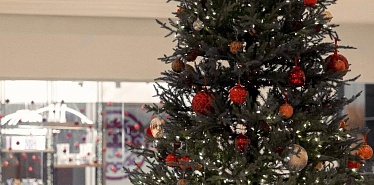 7 hotels in Bishkek with atmospheric lobbies and winter terraces