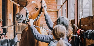 Where to go horseback riding in Uzbekistan: 10 best equestrian clubs