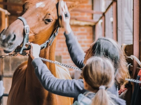 where-to-go-horseback-riding-in-uzbekistan-10-best-equestrian-clubs