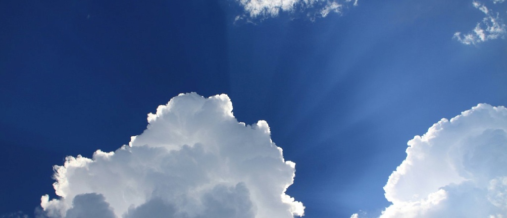 kakaya-pogoda-v-tashkente-v-chetverg-15-yanvarya