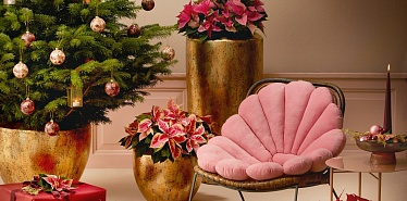 10 stores in Baku where you can find stylish home décor