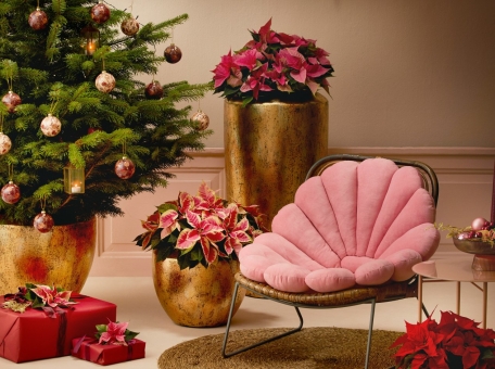 10-stores-in-baku-where-you-can-find-stylish-home-d-cor