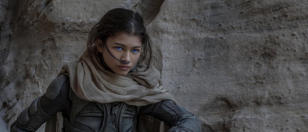 ot-rokki-do-ru-kak-zendeya-za-10-roley-stala-odnoy-iz-glavnyh-aktris-svoego-pokoleniya