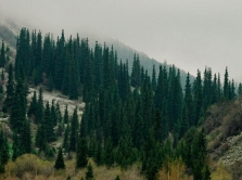 10-must-visit-parks-and-gardens-in-bishkek-kyrgyzstan