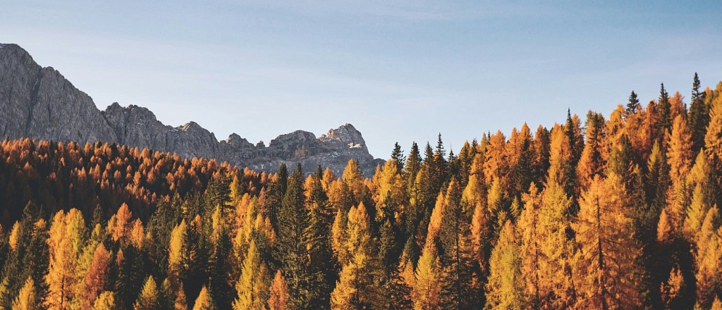 autumn-in-uzbekistan-where-to-go-for-the-best-views-and-atmosphere