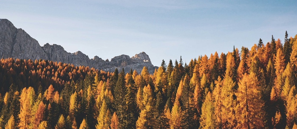 Autumn in Uzbekistan: where to go for the best views and atmosphere