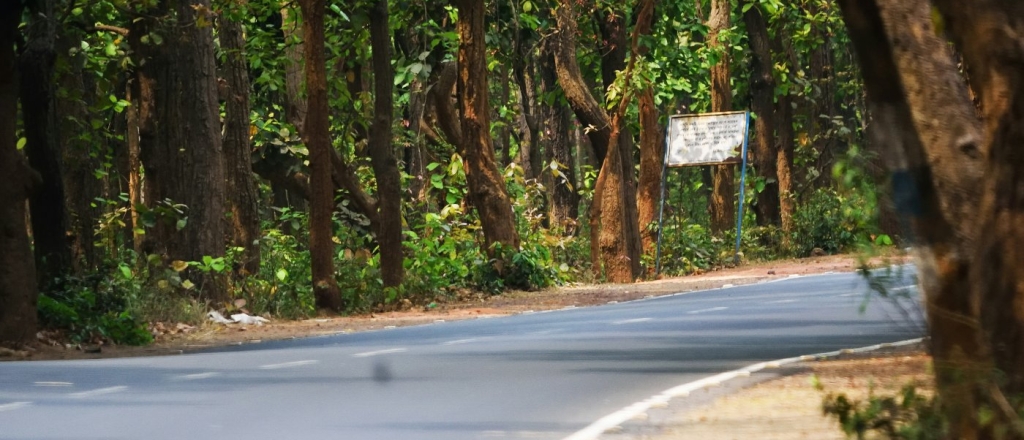 iz-astany-v-borovoe-rasstoyanie-vremya-v-puti-i-gde-kupit-bilety