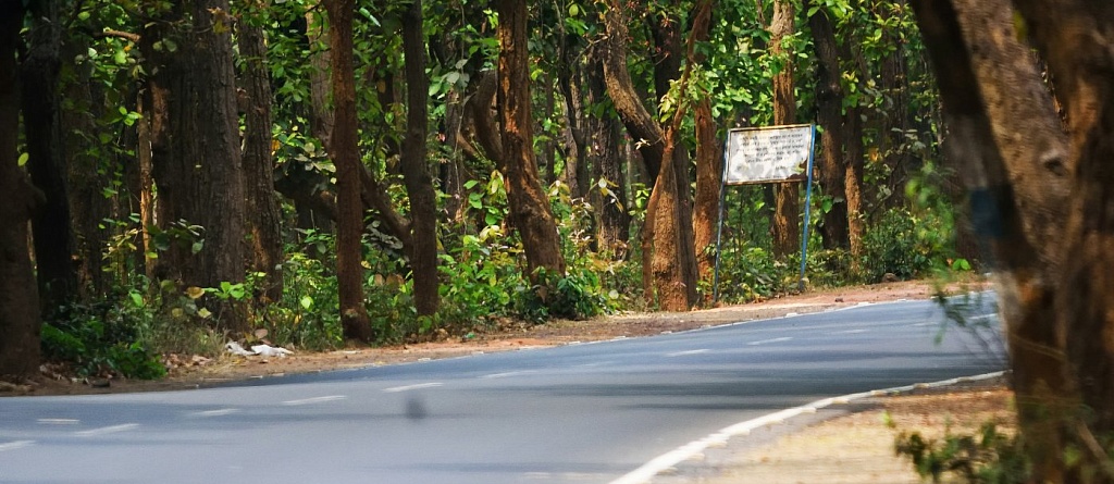 Из Астаны в Боровое: расстояние, время в пути и где купить билеты