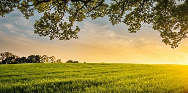 15 баз отдыха в ВКО, которые стоит посетить этим летом