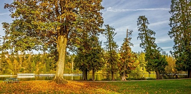 The best parks in Dushanbe: where to walk with your family and escape the city noise