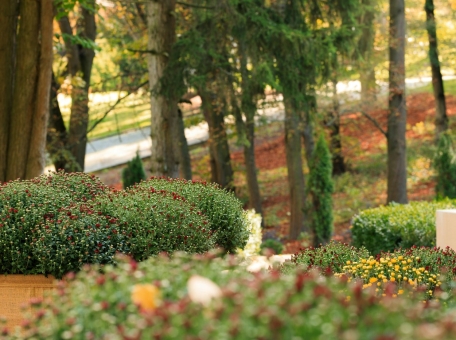 vesenniy-dushanbe-kuda-shodit-i-chem-zanyat-sya-v-aprele