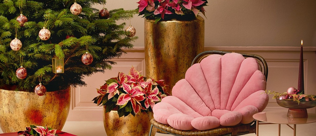 10-magazinov-v-baku-gde-mozhno-nayti-stil-nyy-dekor-dlya-doma