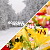 preview-image