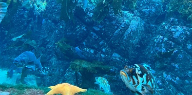 График работы и стоимость посещения водного комплекса Sogdiana Aquapark в Самарканде