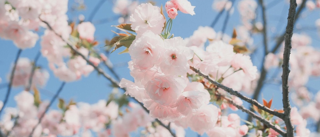 skol-ko-dney-otdohnut-uzbekistancy-v-marte-v-2026-godu