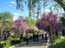 15-nebanal-nyh-idey-dlya-besplatnogo-i-interesnogo-dosuga-v-tashkente