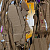 preview-image