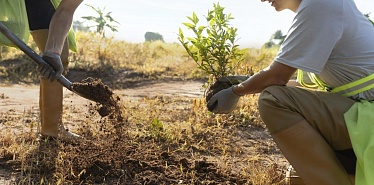 Крупные компании в Узбекистане, которые реализуют важные эко-проекты