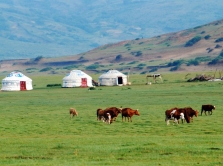 kazakh-villages-that-have-become-points-of-development-of-domestic-tourism
