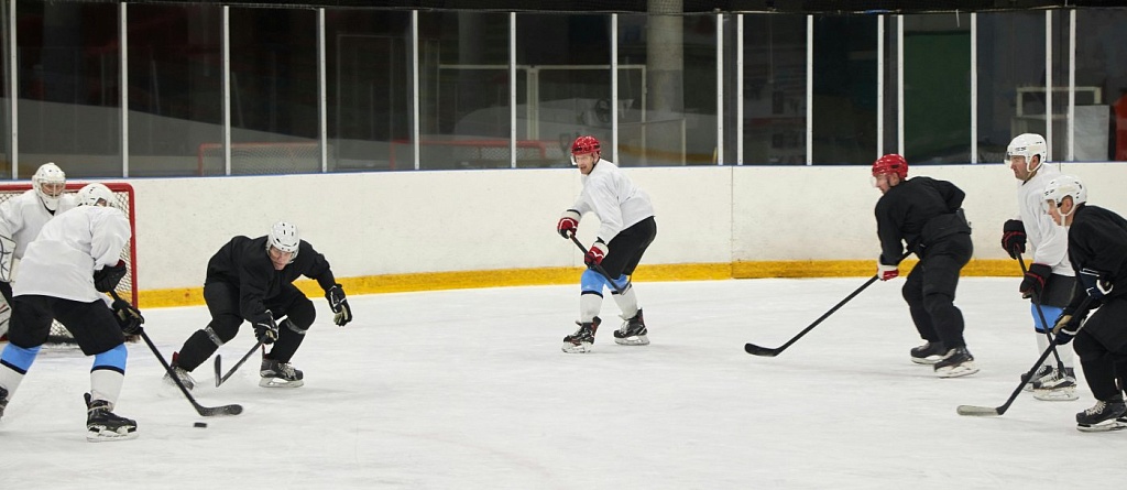 What to explore and experience this week in Central Asia from November 24 to 30: concerts, sports events, and cultural must-sees