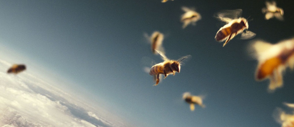 Документальные фильмы про экологию и климат: подборка для тех, кто хочет знать больше