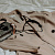 preview-image