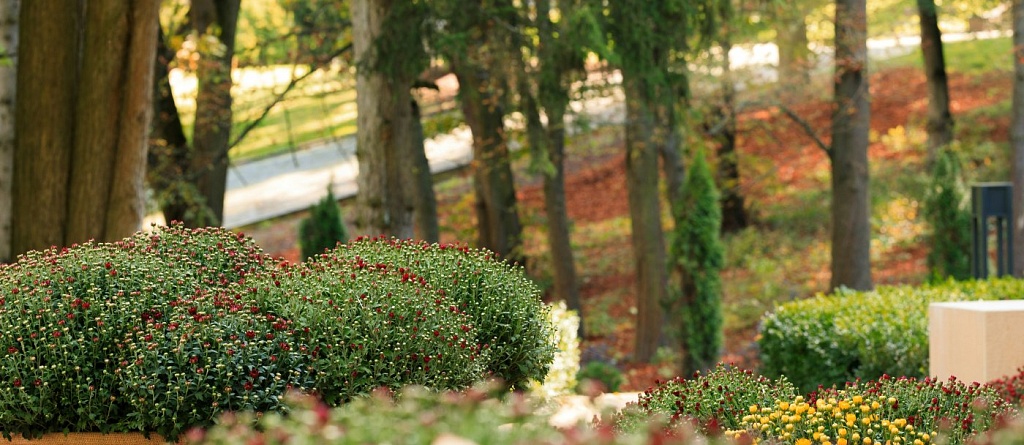 Весенний Душанбе: куда сходить и чем заняться в апреле