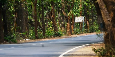 Из Астаны в Боровое: расстояние, время в пути и где купить билеты