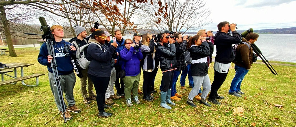 birdwatching-in-central-asia-key-species-list